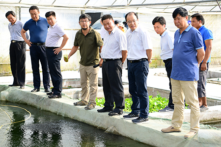 6月8至9日,市委书记罗应光率队专题调研红河谷—绿汁江热区产业经济带