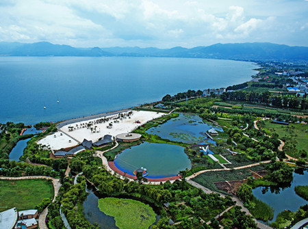 y 张本聪 组照 仙湖湿地6.JPG