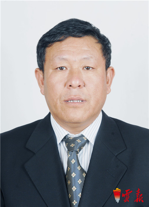 副县长,迪庆州发展和改革委员会副主任,主任,党组书记,维西县委书记