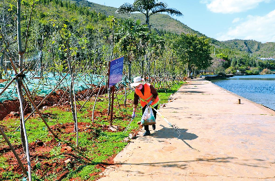 QQ图片20190919112340