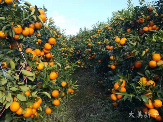 微信图片_20191120081705.jpg