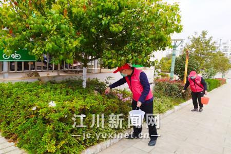 洁净家园_副本
