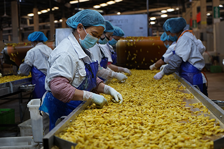 在云南宏斌绿色食品有限公司的生产车间内工人们戴着口罩，在严格消毒的工位上娴熟地操作着。.jpg