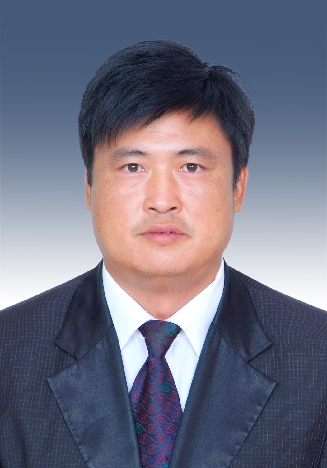 易门县人民政府关于县政府领导工作分工的通知