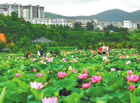 QQ截图20200810104840.jpg