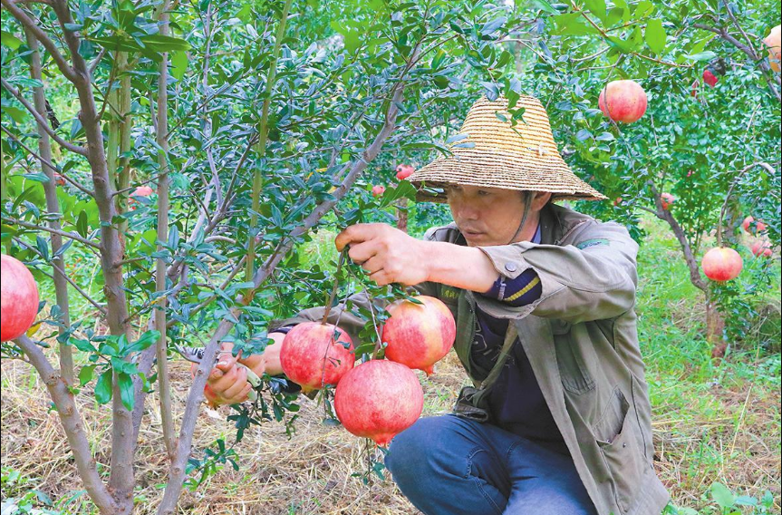 QQ截图20200924114156.png
