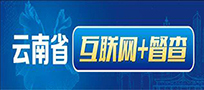 云南省互联网督查