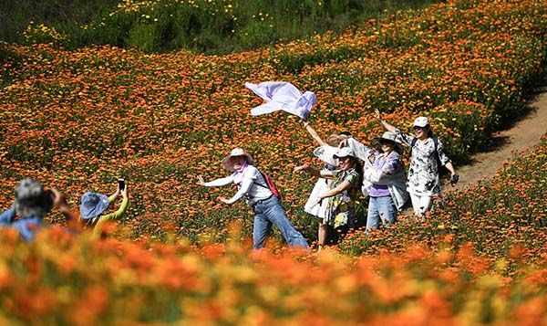 1_20210506061429902.jpg 1_20210506061429902.jpg