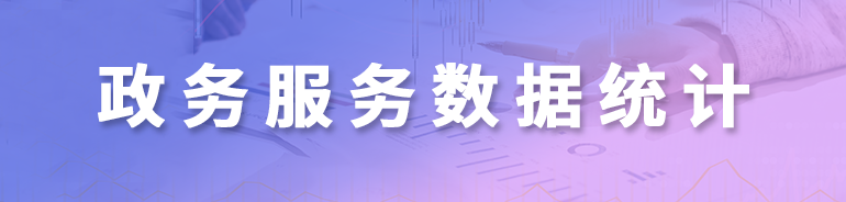 政务服务数据统计