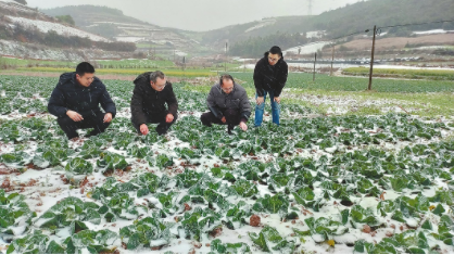 QQ图片20220223082454.png