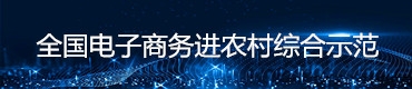 全国电子商务进农村综合示范