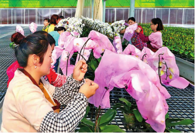 QQ图片20230731114652.png QQ图片20230731114652.png