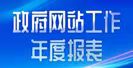 政府网站工作年度报表