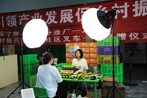 华宁早熟柑橘上市.jpg