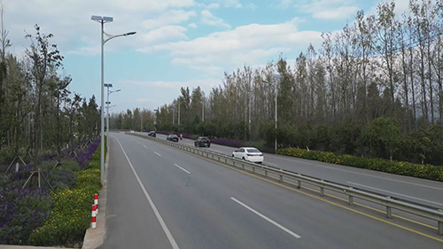 江川区绘就路景交融新画卷.jpg