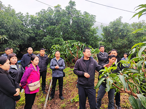 乡村“双带”青年经验交流观摩活动举办.jpg