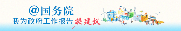 我为政府工作报告提建议