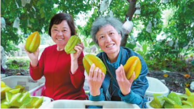 QQ图片20250114091400.png