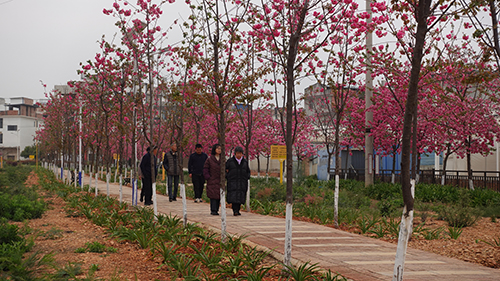 荒地变身绿美公园.jpg