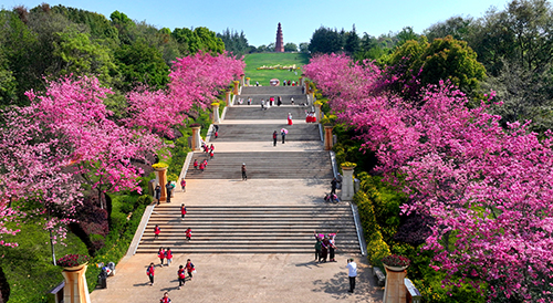 春和景明踏青赏花.jpg