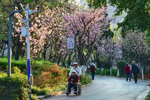 春和景明踏青赏花1.jpg