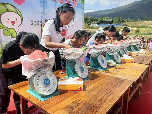 农文旅融合助力乡村振兴.jpg