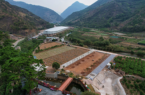 华宁：联农带农促增收 乡村振兴正当时4.jpg