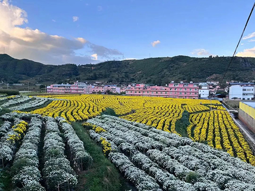 易门小街村走出基层治理特色路2.jpg