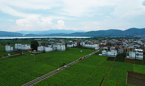 海浒108项目激活农文体旅融合新动能