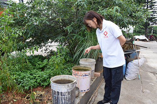 “花蚊子”来袭，当心感染基孔肯雅热.jpg