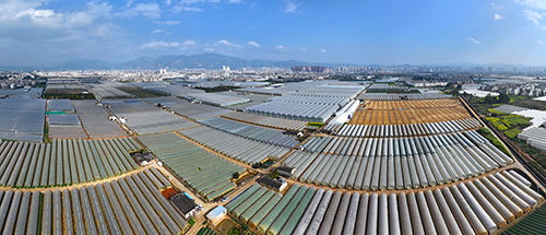 高原特色农业绘就发展新图景.jpg