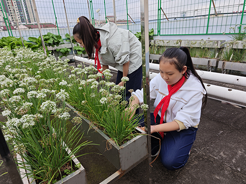 红塔区“五育并举”绘就素质教育生动画卷.jpg 红塔区“五育并举”绘就素质教育生动画卷.jpg