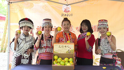 “褚橙之乡—— — 美味传橙”电商直播节启幕.jpg “褚橙之乡—— — 美味传橙”电商直播节启幕.jpg