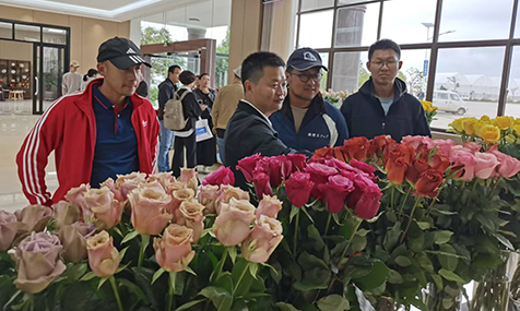 通海：交流种植技术赋能产业升级