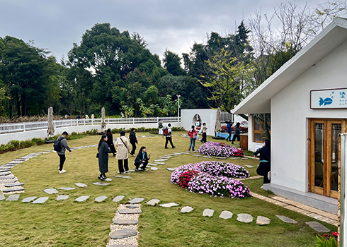海浒社区的农文旅融合之路