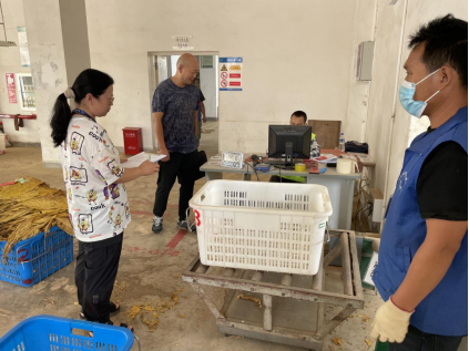 玉溪市市场监督管理局开展烟叶收购站（点）在用计量器具专项检查361.png