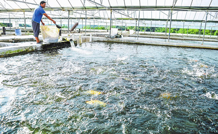 1_副本.jpg 1_副本.jpg