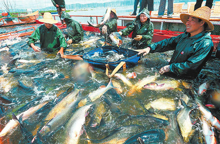 2_副本.jpg 2_副本.jpg