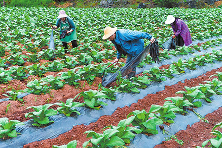 6_副本.jpg 6_副本.jpg