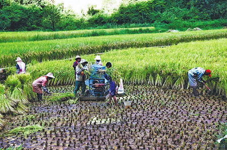 4_副本.jpg 4_副本.jpg