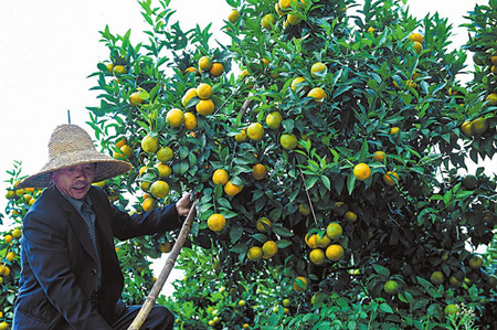 31_副本.jpg 31_副本.jpg