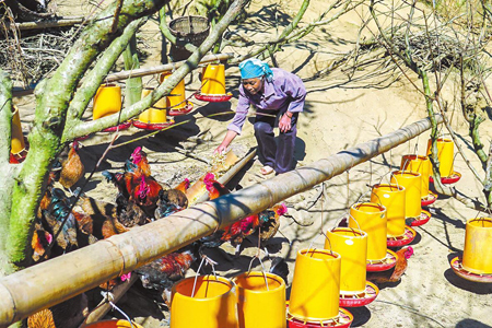 产业先行助脱贫.jpg 产业先行助脱贫.jpg