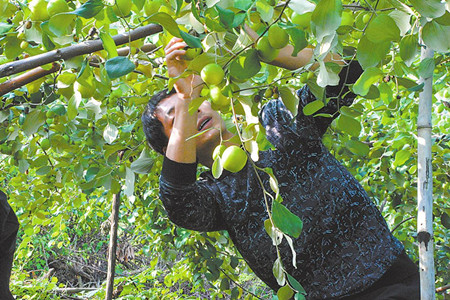 9_副本.jpg 9_副本.jpg