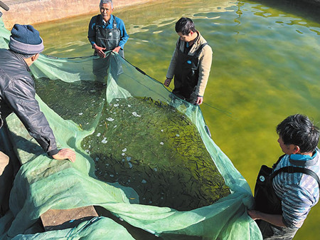 4_副本.jpg 4_副本.jpg