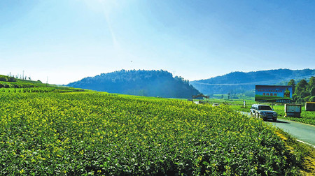 7_副本.jpg 7_副本.jpg