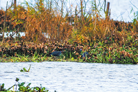 5_副本.jpg 5_副本.jpg