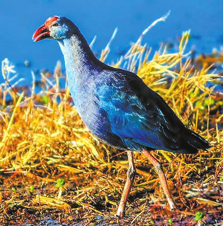 0_副本.jpg 0_副本.jpg