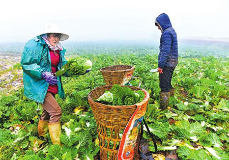 9_副本.jpg 9_副本.jpg