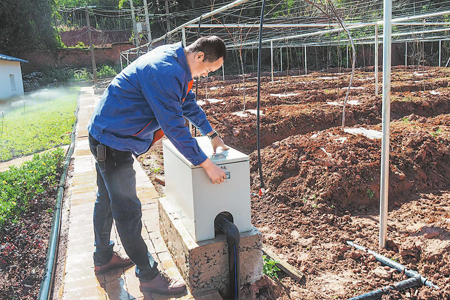 工作人员正在刷卡取水灌溉猕猴桃树苗。目前，澄江县龙街街道有9050亩田地配备了1445套智能化取水系统。.jpg