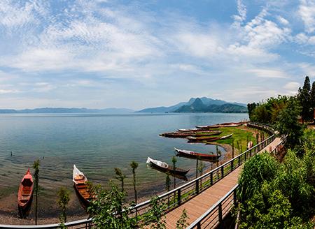 L_1517281754034880429